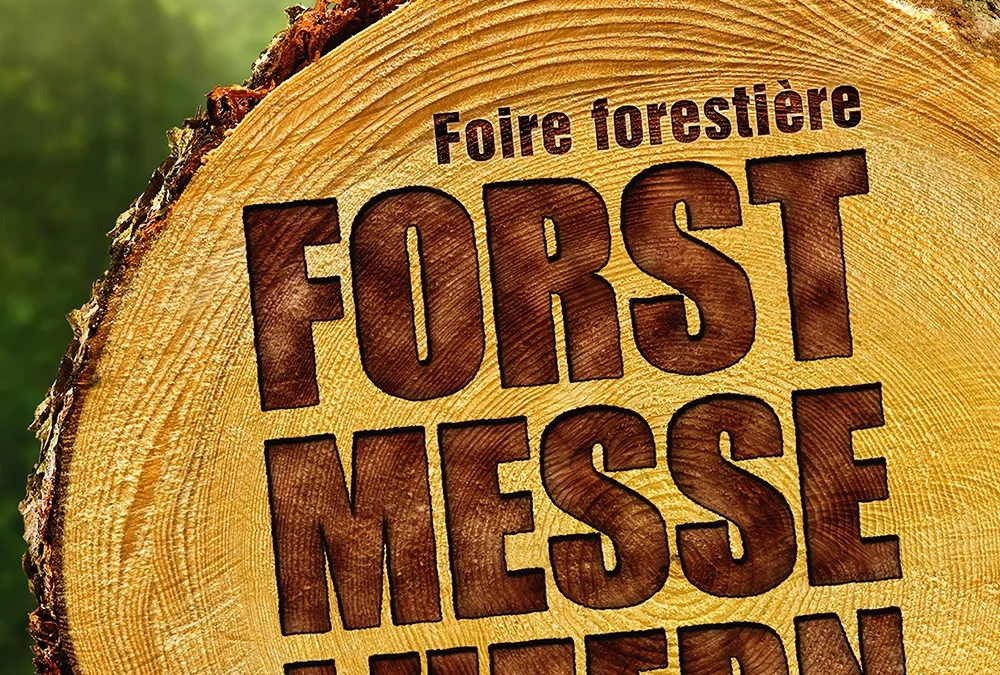 Ritter Maschinen auf Forstmesse Luzern 2025 – Forsttechnik